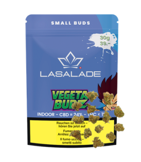 La Salade Vegetabudz Mini Buds CBD Indoor 1