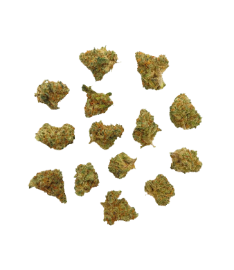 La Salade Vegetabudz Minibuds Small CBD Buds Indoor – photo 2