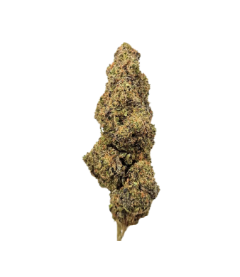 White Rhino CBD Flowers Indoor
