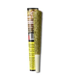 Green Passion Coated Royal Pre-Roll CBD Joint CBD Trim + Live Resin 1