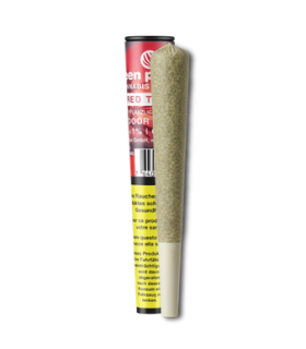 Green Passion Red Twist Pre-Roll CBD Joint CBD Trim + Red Lebanese Hash 1