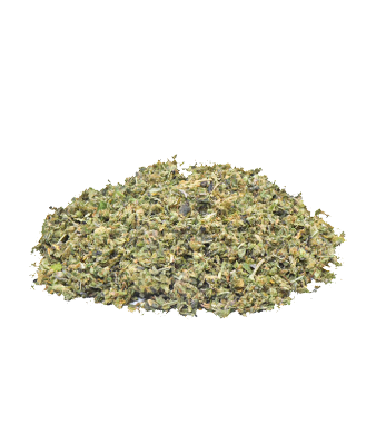 Herba di Berna Bubblegum + Harlequin CBD Trim Indoor – Bild 2