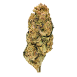 Herba di Berna Plutonium + Cannatonic CBD Trim Indoor – Bild 2