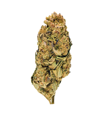 Herba di Berna Plutonium + Cannatonic Trim CBD Indoor – photo 2