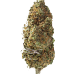 Herba di Berna Trinity Flowers Mix Limited Edition CBD Blüten Indoor – Bild 2