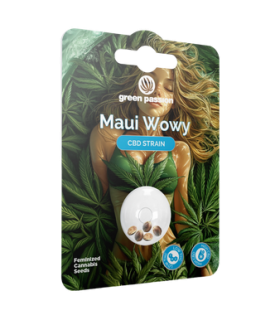 Green Passion Maui Wowy CBD Seeds 1