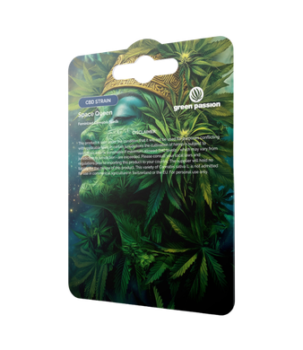 Green Passion Space Queen CBD Samen Feminisiert – Bild 2