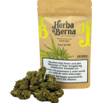 Herba di Berna Lemon Haze CBD Blüten Indoor
