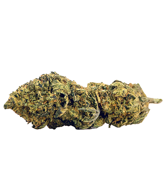 Herba di Berna Lemon Haze CBD Flowers Indoor – image 2