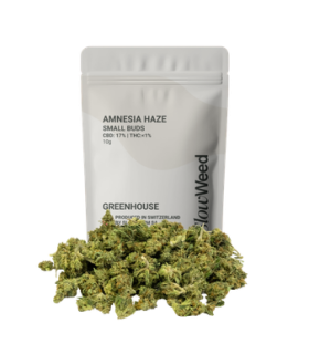 Slow Weed Amnesia Haze Minibuds Small CBD Buds Greenhouse 1