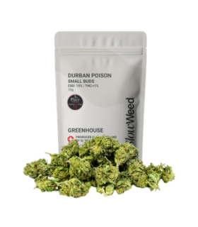 Slow Weed Durban Poison Minibuds Small CBD Buds Greenhouse 1