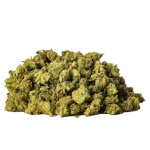 Limoncello Minibuds CBD Small Buds Greenhouse