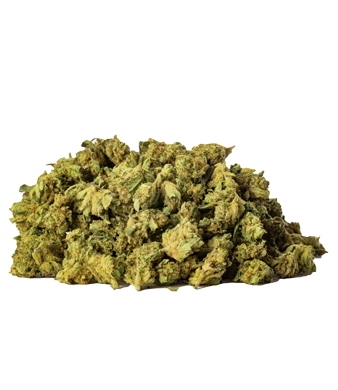 Limoncello Minibuds CBD Small Buds Greenhouse