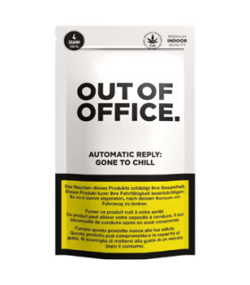 Pure Out of Office CBD Blüten Indoor