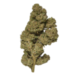 Select Candy Kush • CBD Flower Outdoor – image 2