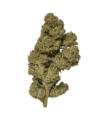 Select Candy Kush • CBD Flower Outdoor – Bild 2