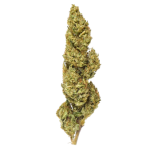 Select Limoncello Fleur CBD Greenhouse – photo 2