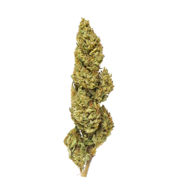 Select Limoncello CBD Blüten Greenhouse – Bild 2
