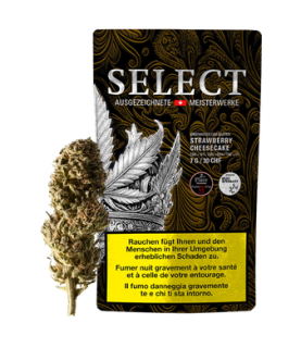 Select Strawberry Cheese Cake CBD Flower Greenhouse 1
