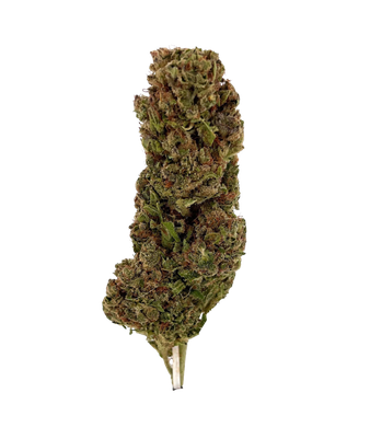 BudBouncy Fruit Punch CBD Flower Indoor – photo 2