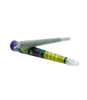 BudBouncy Harley Quinn Pre-Rolls CBD Joints Indoor