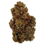 BudBouncy Lemon Haze Fleur CBD Indoor – image 2