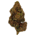 BudBouncy Northern Light CBD Flower Indoor – photo 2