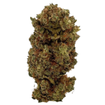 BudBouncy Orange Bud CBD Blüten Indoor – Bild 2