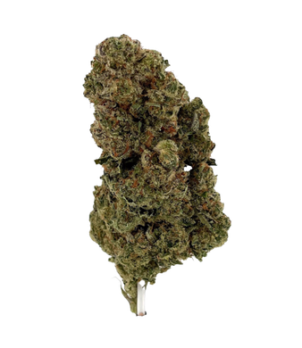 BudBouncy V1 CBD Flower Indoor – photo 2