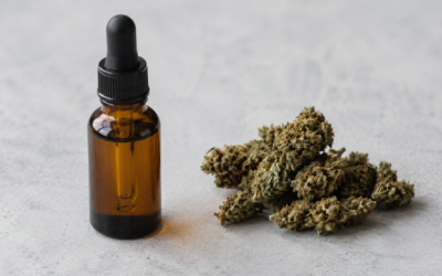 Image d’en-tête comparant l’huile CBD et les fleurs CBD