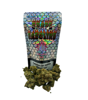 Paradise Weeds Grape Gazoline CBD Flower Indoor