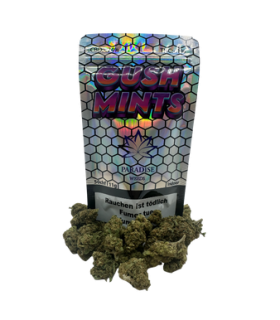 Paradise Weeds Gush Mints CBD Flower Indoor 1