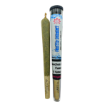 Paradise Weeds Frosted Sherbert CBD Joint Indoor