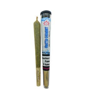 Paradise Weeds Frosted Sherbert Pre-Rolls CBD Joint Indoor 1