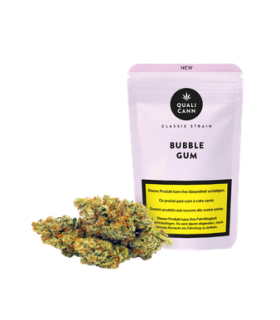 Qualicann Bubble Gum CBD Blüten Indoor