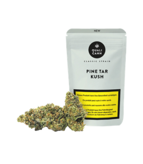 Qualicann Pine Tar Kush CBD Blüten Indoor