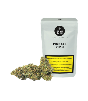 Pine Tar Kush Fleur CBD Indoor - 2g