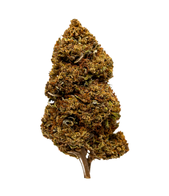 La Salade Black Mamba Fleur de CBD Greenhouse – photo 2