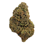 La Salade Mango Twist CBD Blüten Indoor – Bild 2